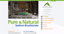 Desktop Screenshot of naturalsoda.com