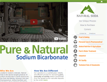 Tablet Screenshot of naturalsoda.com